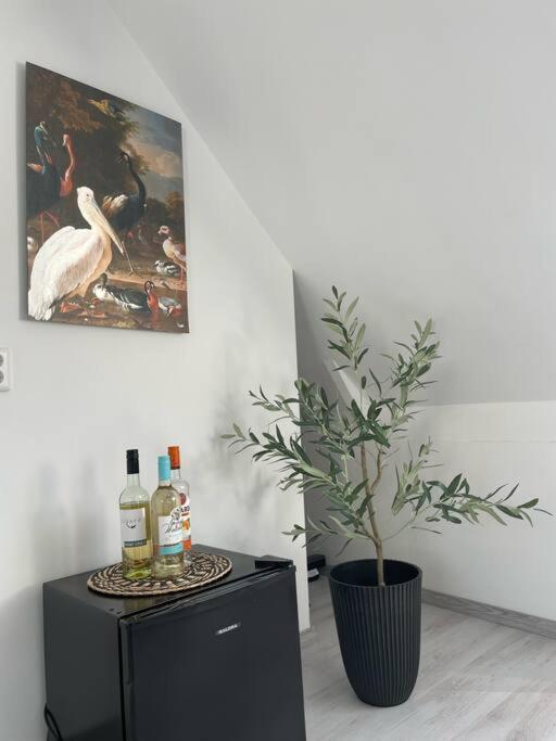 Appartement In Centrum Alkmaar Esterno foto